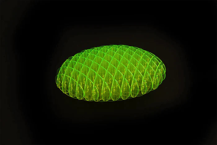 Morf Wormz™ -  Finding focus & Relieving anxiety